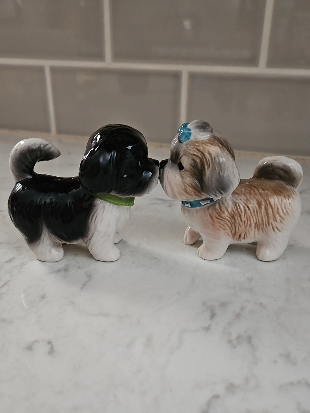 Kissin Shiztzus